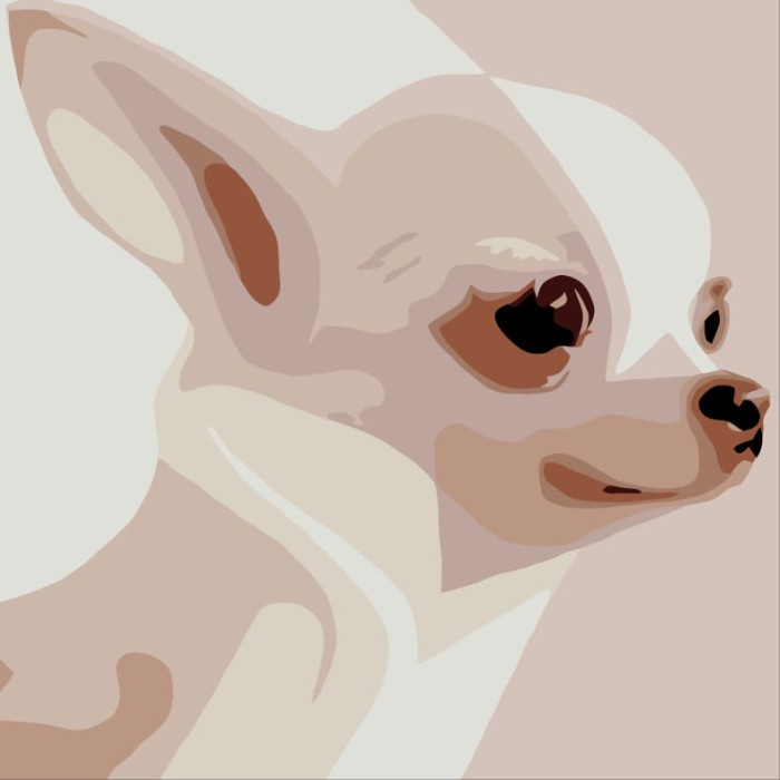 

[TERBARU] DIY painting by number 20x20cm kerajinan tangan - WHITE DOG - PAINT ONLY