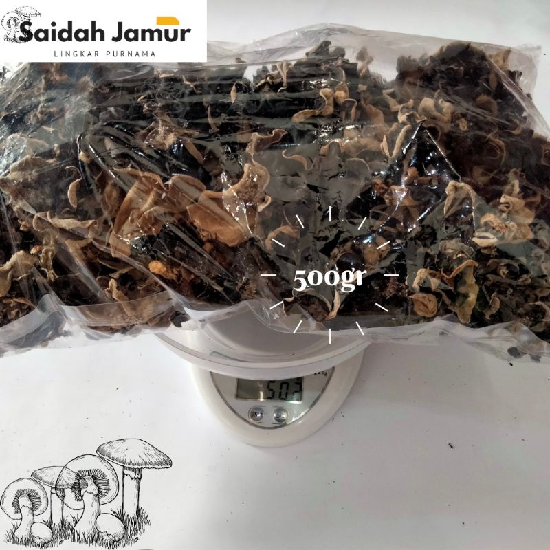 

Jamur Kuping Hitam Kering 500gram/Masakan Ibu dirumah/ Sayur SOP/Campuran Aneka Makanan Lainnya