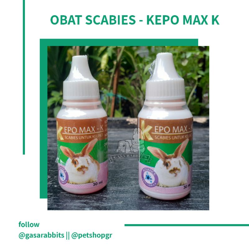 OBAT SCABIES KELINCI - KEPO MAX OBAT SCABIES KELINCI - OBAT KELINCI SCABIES KEPOMAX
