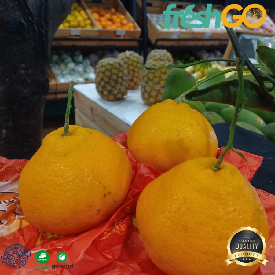 

Jeruk Papagan Dekopon Manis Segar FreshGo 500gr