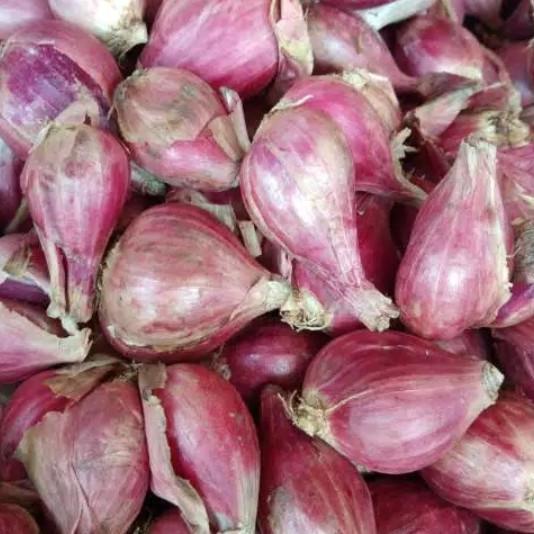 

Star 12.12 Bawang Merah brebes Super 500g murah