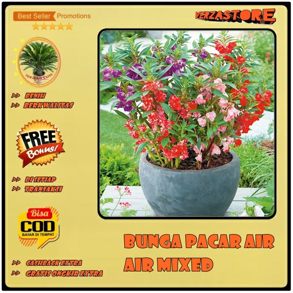 Jual Biji Benih Bunga Pacar Air Mixed Biji Shopee Indonesia