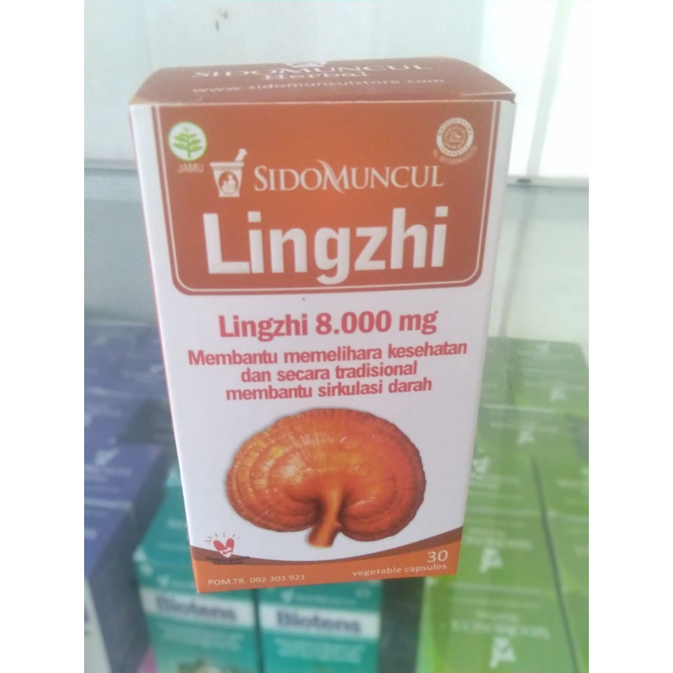 Jual SIDOMUNCUL LINGZHI 30 KAPSUL TUMOR KANKER GULA DARAH KOLESTROL