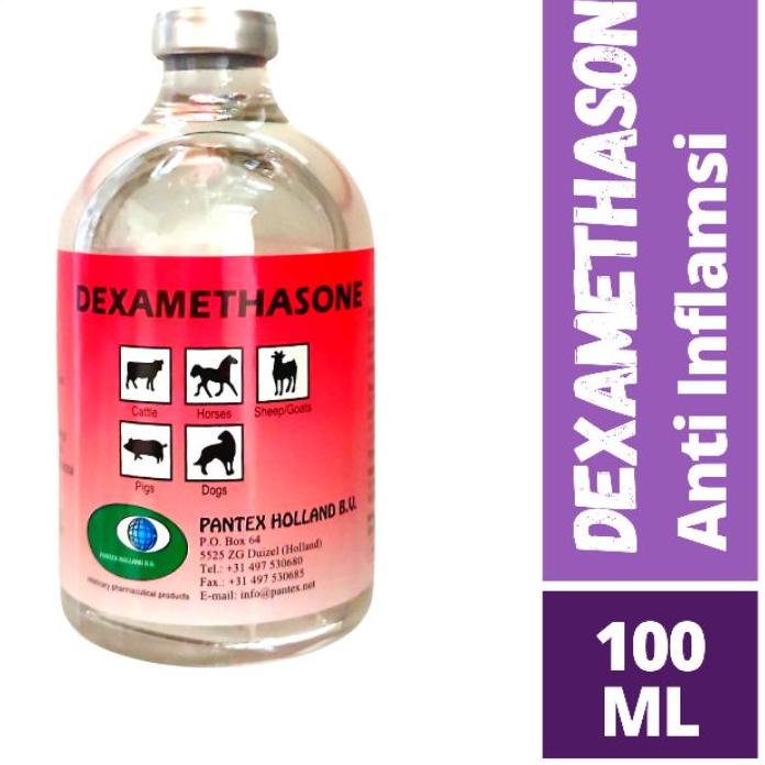 DS2Dღ Dexametason injeksi 100ml - Obat Anti Inflamasi - dexa 100ml Terkini