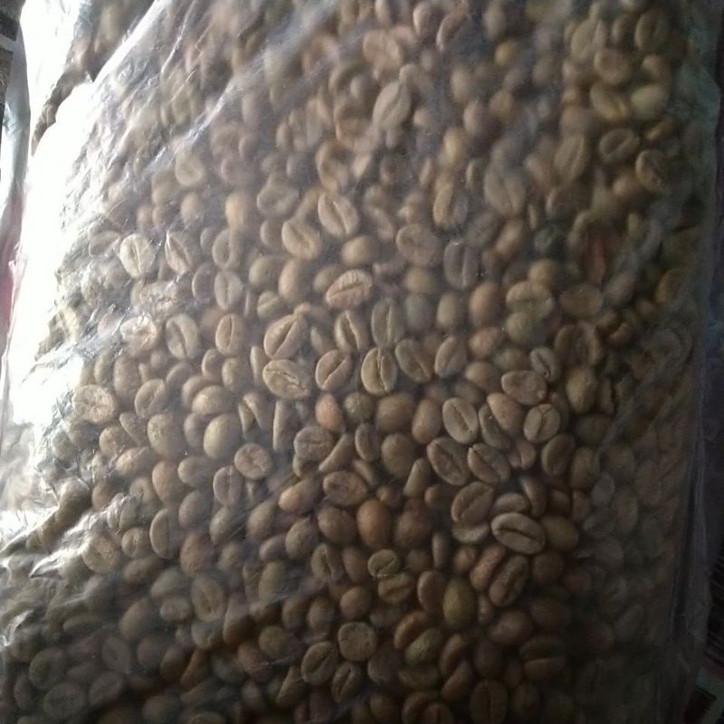 

Biji Kopi 1 Kg