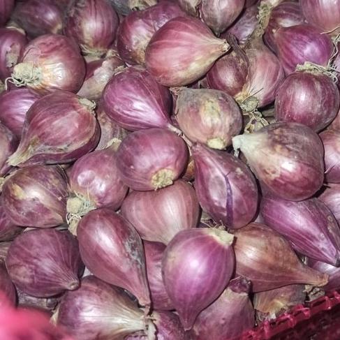

12.12 MALL BAWANG MERAH brebes gede rata