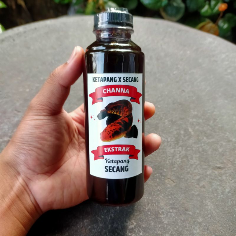 Ekstrak daun KETAPANG X SECANG buat Channa premium