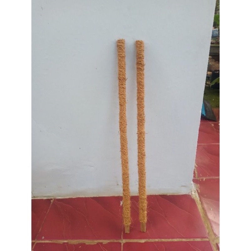 turus penyangga tanaman - turus 60cm penyangga pohon