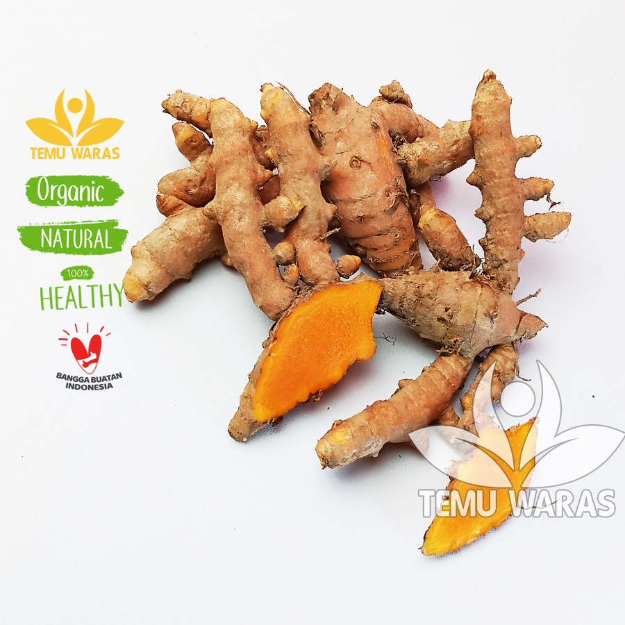 

Kunyit Emprit 1kg / Kunir Organik Asli Gunung - Bahan Kunyit Asam