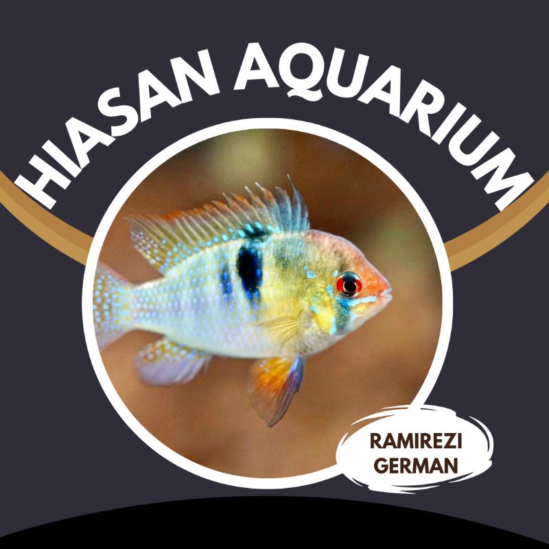 Ramirezi german elektrik hiasan aquarium