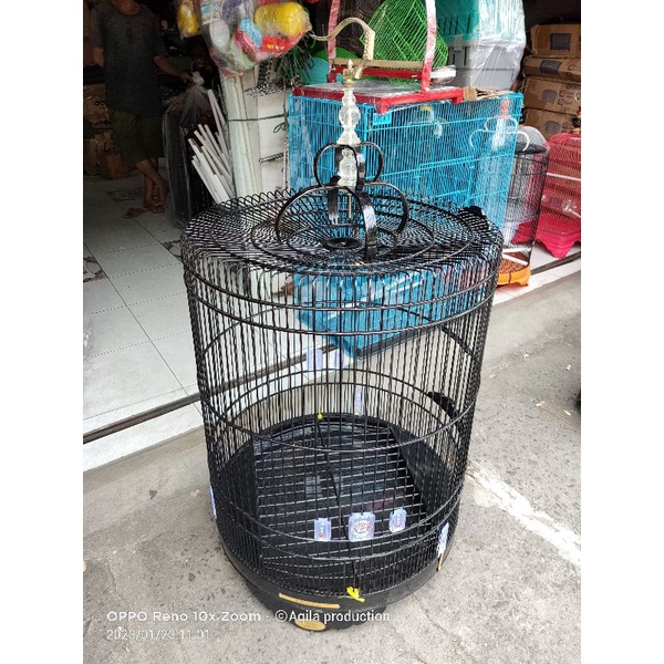 KANDANG SANGKAR MURAI PVC BNR RUBICORN