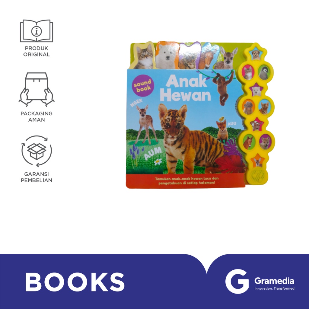Big Sound Book: Anak Hewan