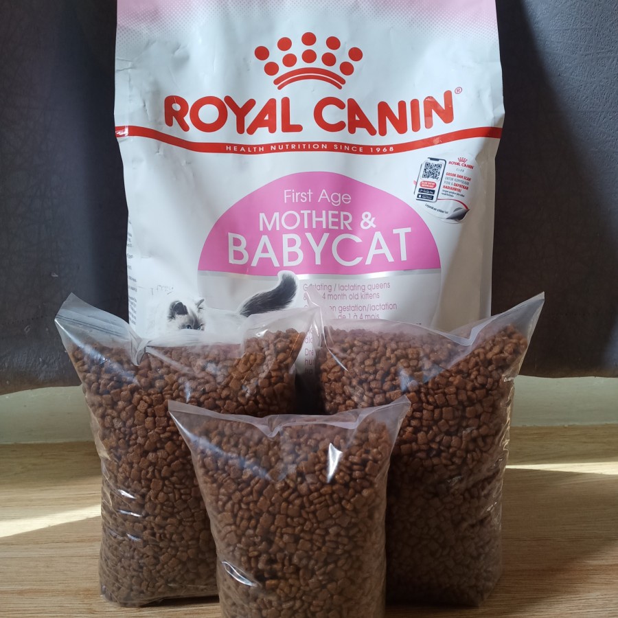royal canin mother baby repack 500gr