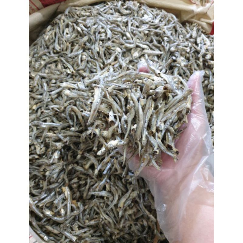 

Ikan Teri 500 Gram