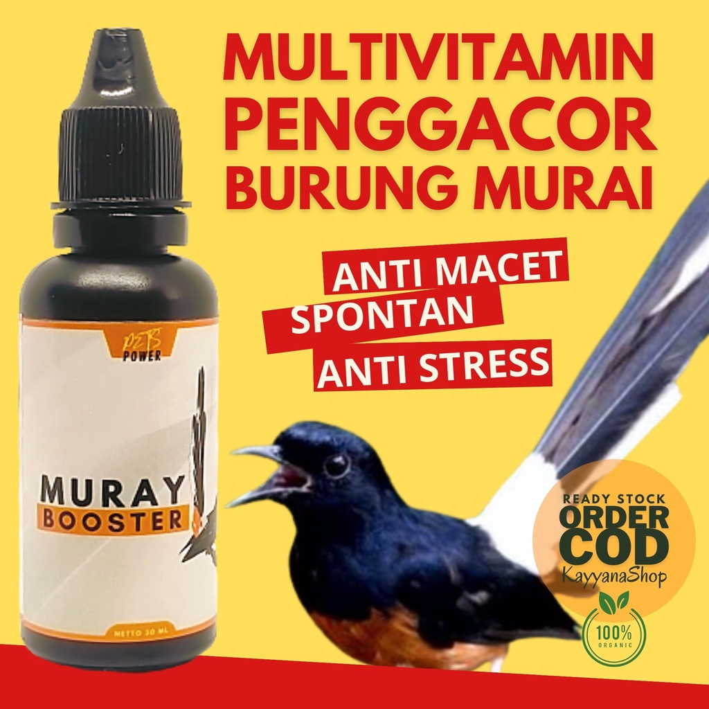 30 ML Obat Murai Cabut Bulu / Obat Murai Sakit / Obat Murai Mabung / Obat Murai Batu Serak / Vitamin