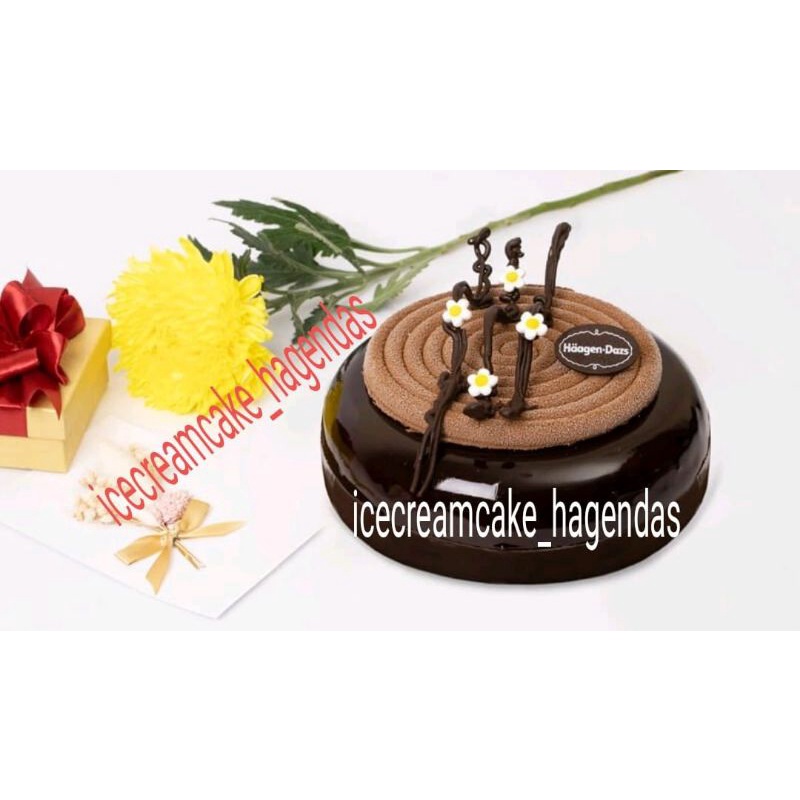 

Ice Cream Cake Haagendazs