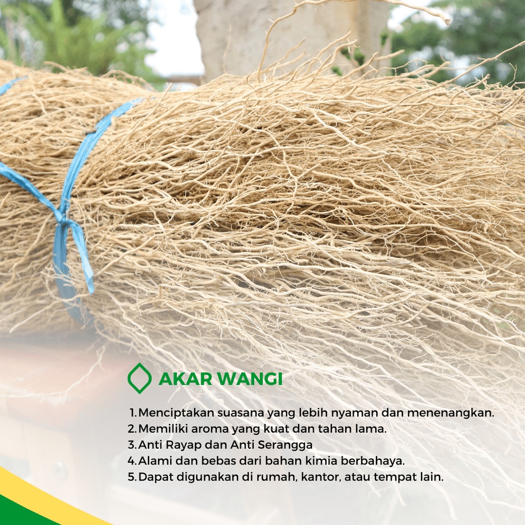 Akar Wangi Kering Premium - Pengharum Pakaian Anti Rayap Semut Kecoa Nikmati Aroma Wangi Setiap Hari