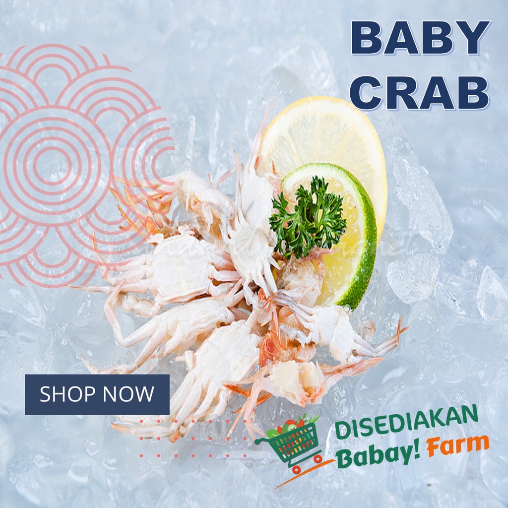 

Baby Crab / Bayi Kepiting 250 500 gram / 1 Kg