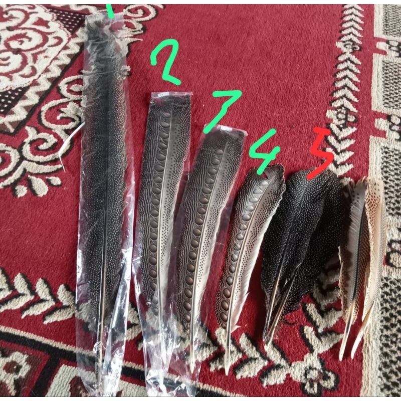 Aksesoris Bulu Burung Khas Kalimantan