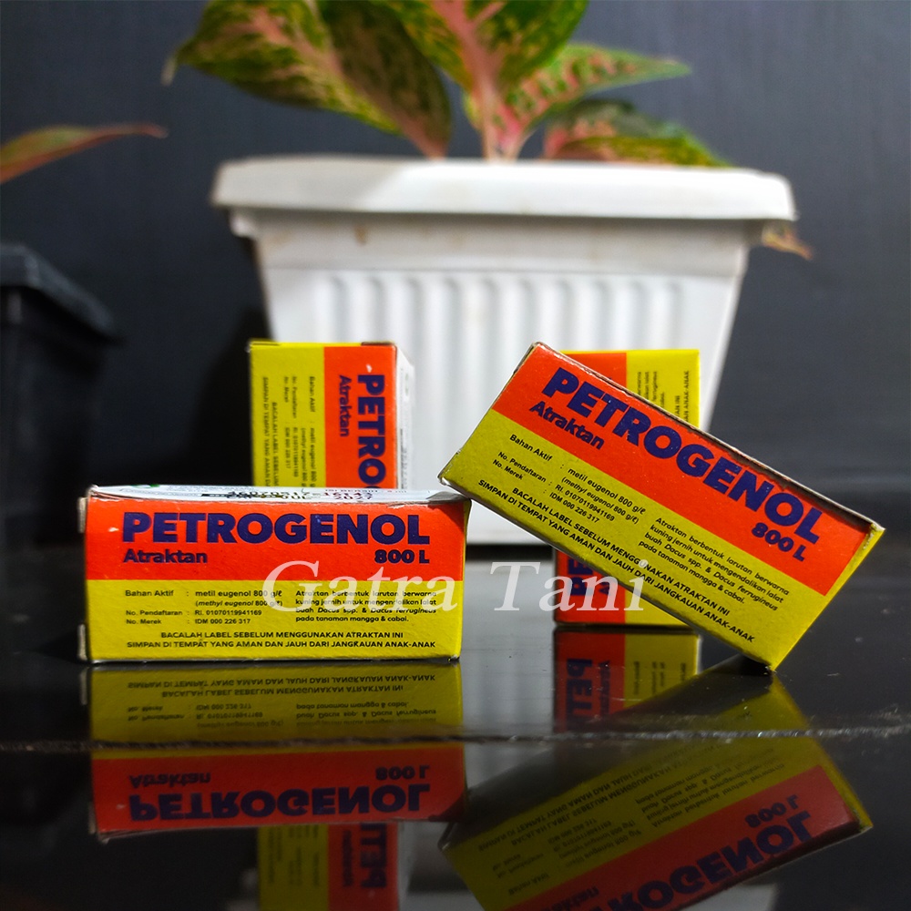 Petrogenol perangkap lalat buah