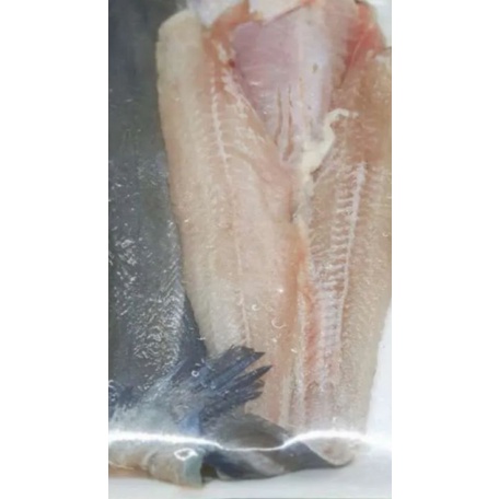 

ikan lele filet segar 500grm