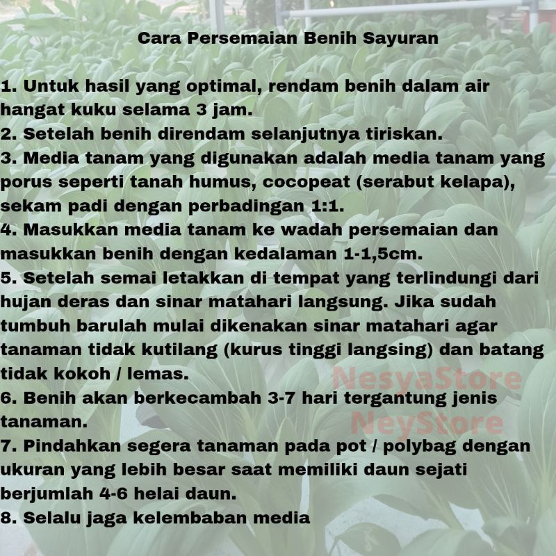 Benih Sayur Buah Sayuran Buah Lengkap Berkualitas Premium