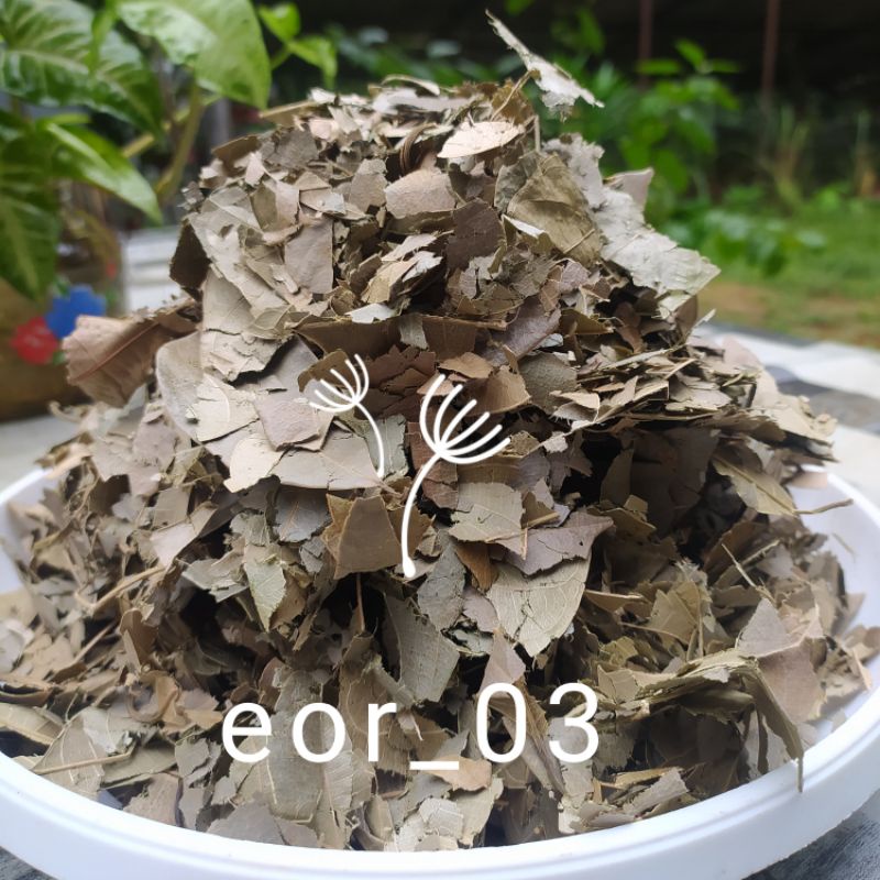 

daun nangka kering netto 20 gram