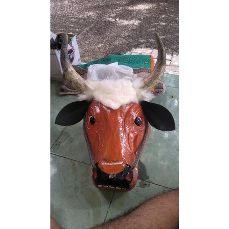 banteng dewasa spesial (TANDUK ASLI SAPI)