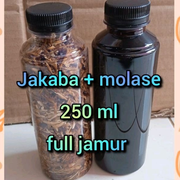 Biang 1 JAKABA + 1 MOLASE (Botol 250 ml full jakaba )