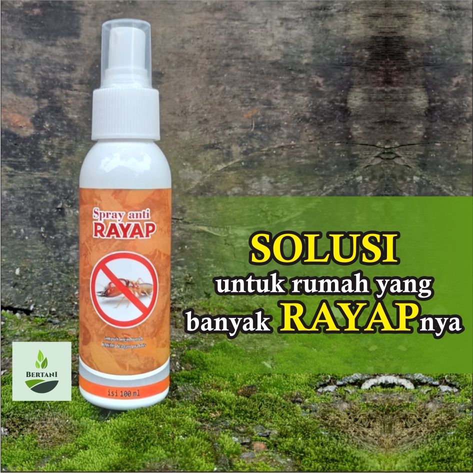 Pembasmi Rayap Kayu Tembok dan Tanah PALING AMPUH / OBAT RAYAP SEMPROT 100ml