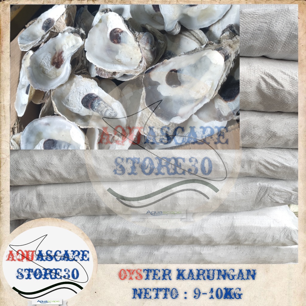 oyster media filter kolam koi 10kg / oyster media filter kolam koi karungan 10kg / oyster media filt