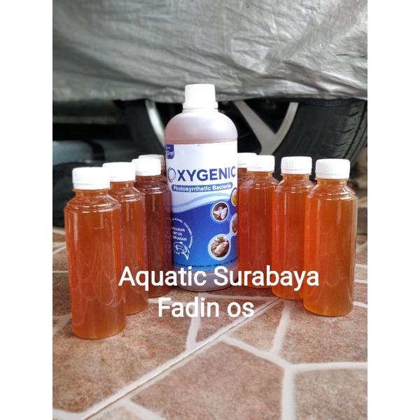 Oxygenic Probiotik 250 ml Bacteri Bakteria Starter Cair Aquarium Kolam