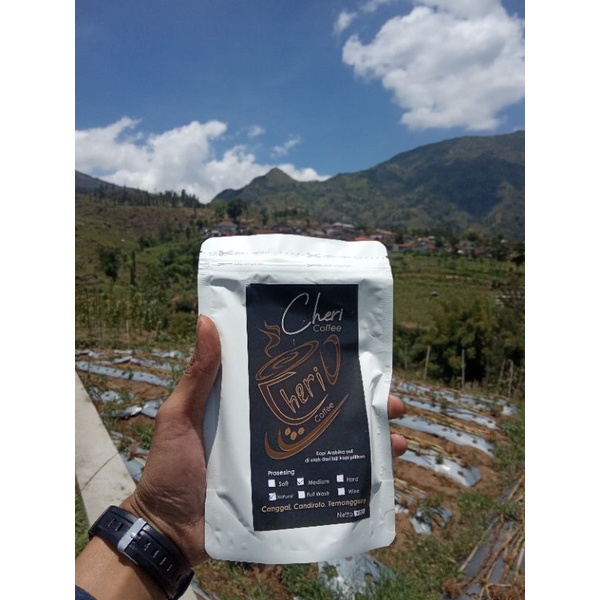 

kopi arabica canggal sindoro