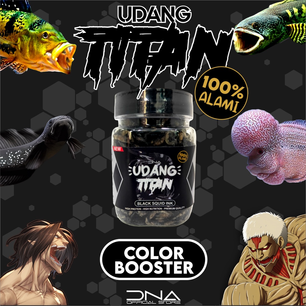 UDANG kering TITAN BLACK SQUID INK pakan untuk tinggi akan protein Dari Tinta cumi alami untuk JUMBO Channa Arwana Louhan Oscar Pbass Koi Koki Cemilan untuk Chana arwana lohan peacock bass black pigment hitam