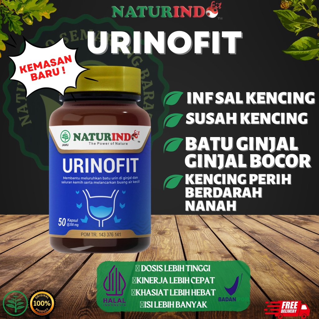 Obat Herbal Sulit Kencing Sakit Prostat Infeksi Saluran Kencing Anyang Anyangen Atasi Batu Ginjal Sa