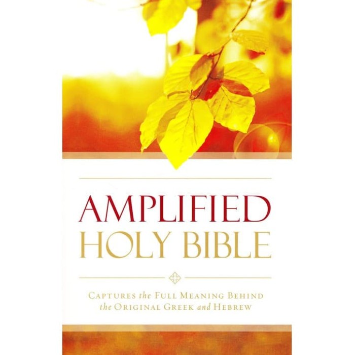 Bible Amplified Holy Bible