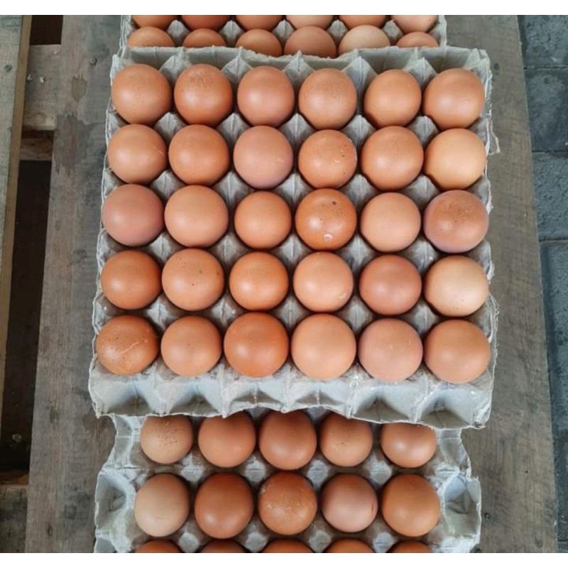 

telur ayam setengah papan isi 15 butir