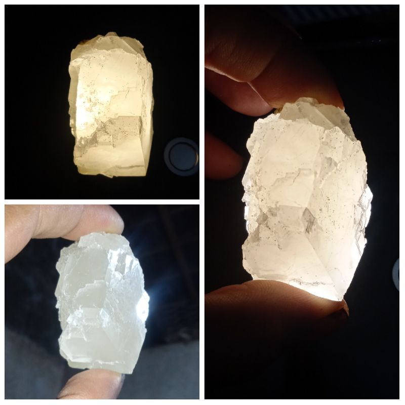 natural batu fosil liur walet