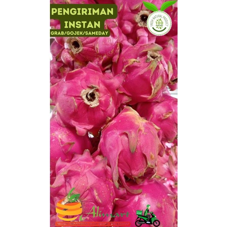 

Buah Naga Merah Super 1kg