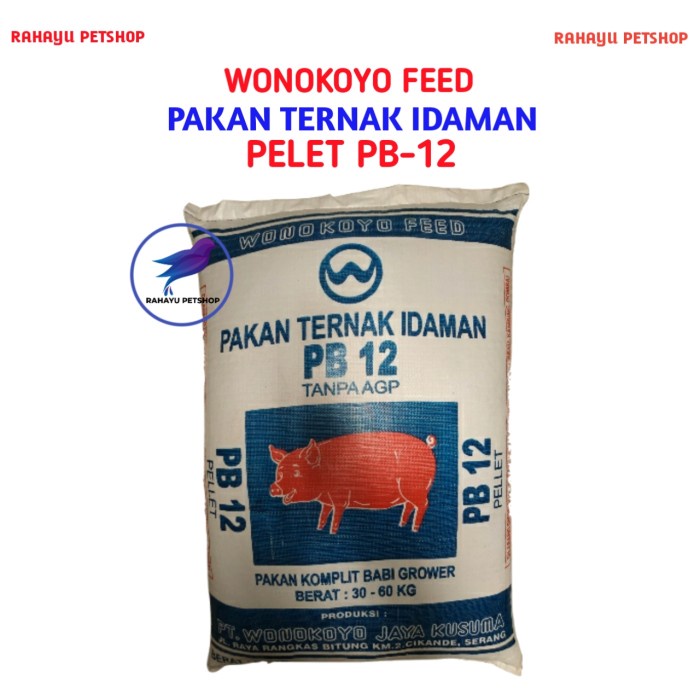 `````````] PUR PB 12 BABI WONOKOYO 50KG