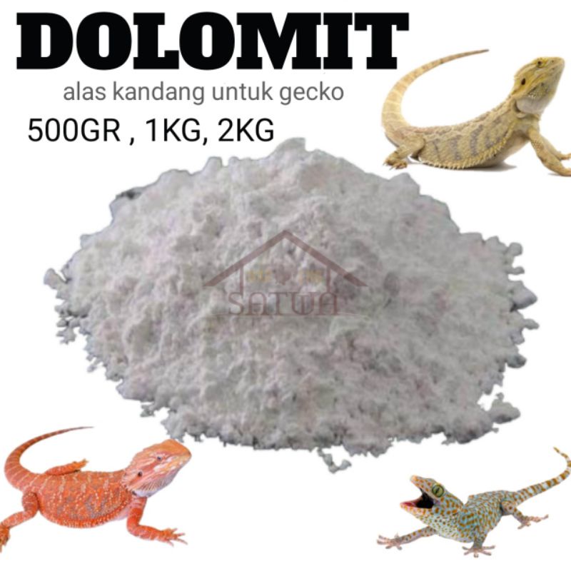 500GR KAPUR DOLOMIT LEOPARD GECKO ALAS KANDANG REPTILE SUBSTRAT KALSIUM PASIR DOLOMIT BD TOKEK GECKO