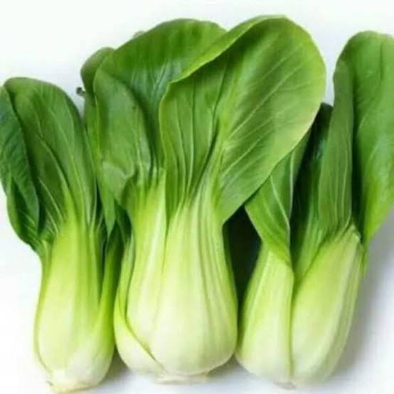 

Pakcoy fresh
