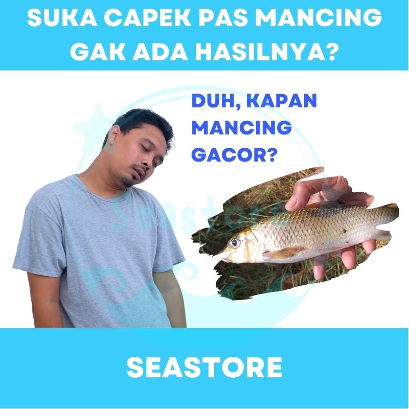 Umpan Pancing Jitu Penarik Ikan Bubuk Pemancing Mancing Essen Essence Super Adiktif DMPT Stimulant Perangsang Pemikat Ikan Mas Babon Nila Bawal Lele Patin Baung Toman Mujair Mujaer Gabus Bandeng Laut Original Paket Umpan Ikan Umpan Casting Vanili Jerman