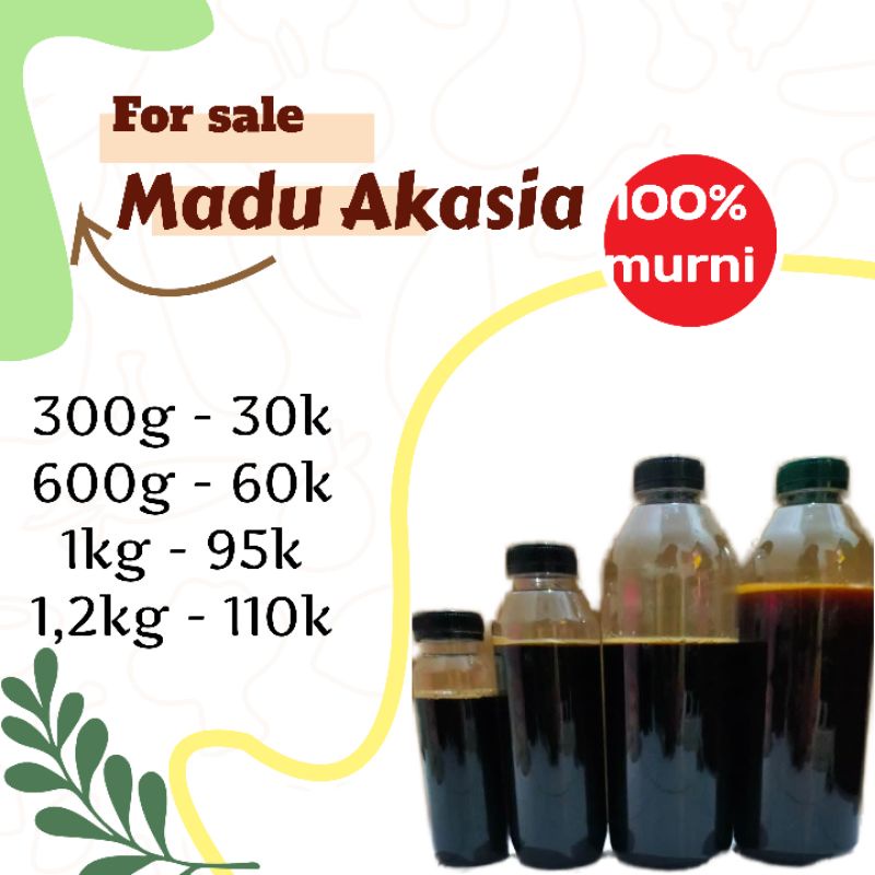 

madu akasia