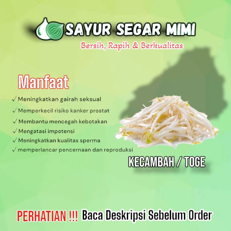 

Toge / Tauge / Kecambah - Sᴀʏᴜʀ Sᴇɢᴀʀ ♏ɪᴍɪ