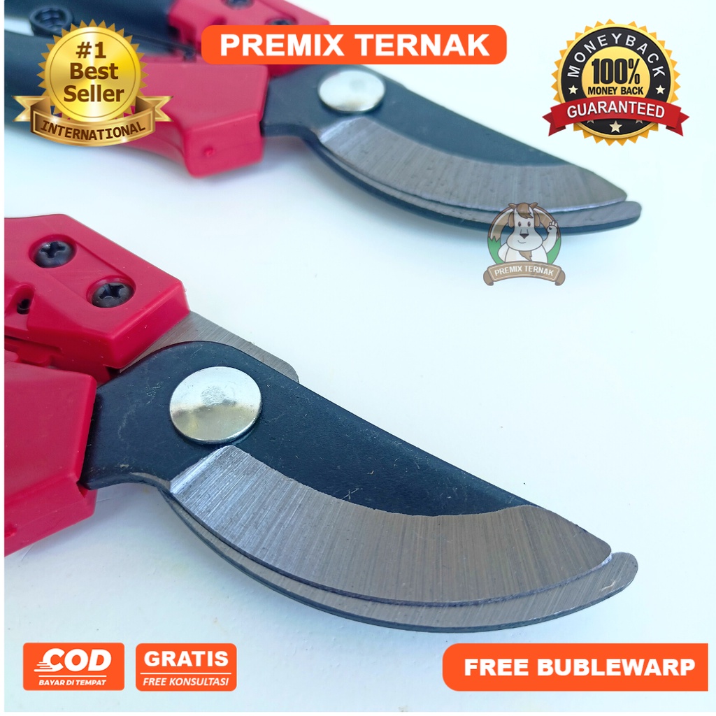 GUNTING KUKU KAMBING DOMBA MERAH - Sheep Nail Clippers - Premixternak