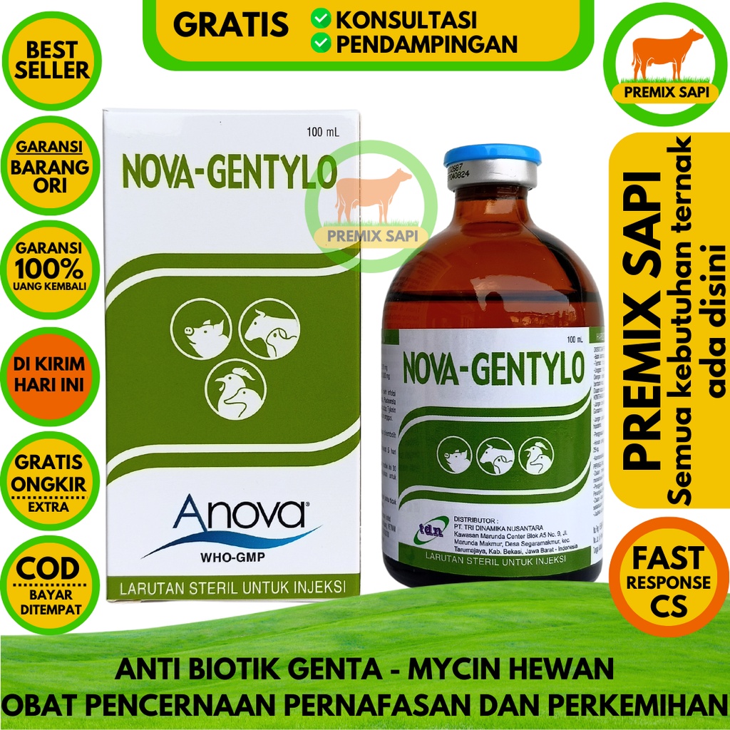 Jual Nova Gentylo 100ml Antibiotik Infeksi Bakteri Spektrum Luas