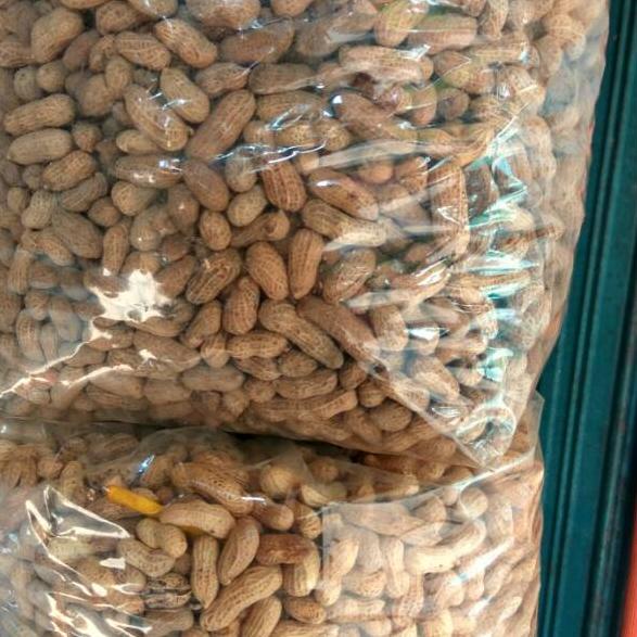 

(Terbaik) Kacang Kulit Sangrai 500gr