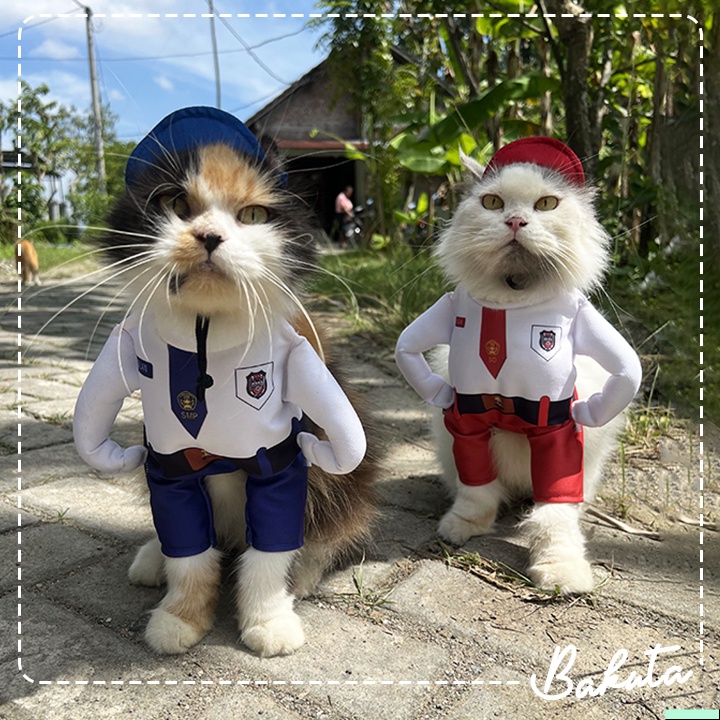 Kostum Model berdiri untuk kucing dan anjing Lucu 𝗞𝗼𝘀𝘁𝘂𝗺 𝗔𝗻𝗮𝗸 𝗦𝗲𝗸𝗼𝗹𝗮𝗵 / Kostum kucing Murah / Baju Kucing Tangerang size S-XL