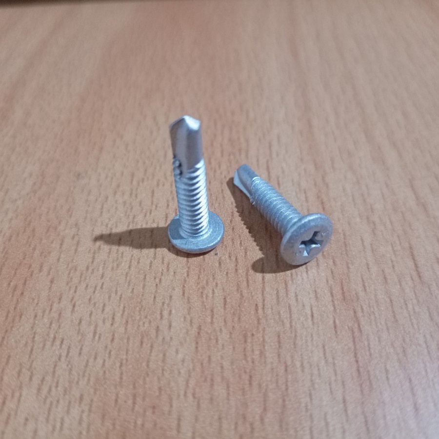 Sekrup Wafer Head SDS Envirocoat 10x22